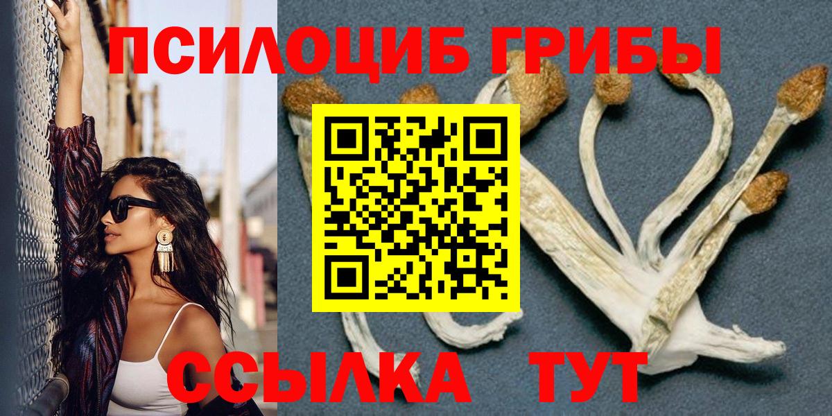 Горно-Алтайск  Псилоцибиновые грибы GOLDEN TEACHER  Псилоцибиновые грибы Magic Shrooms  Вход с VPN 